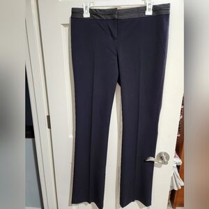 Express Columnist Slack Pants